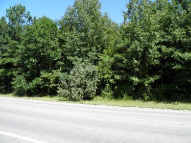 6504 Woodbury Hwy, Manchester, TN 37355